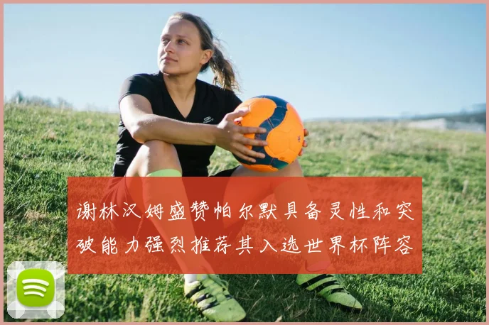 谢林汉姆盛赞帕尔默具备灵性和突破能力强烈推荐其入选世界杯阵容