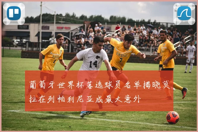 葡萄牙世界杯落选球员名单揭晓莫拉在列帕利尼亚成最大意外
